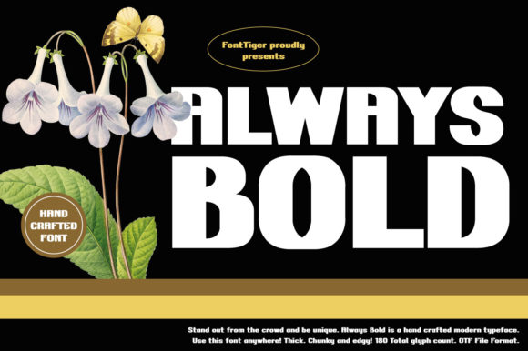 Always Bold: A Display Font That Commands Attention
